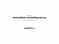 pebkac-consulting.com.au