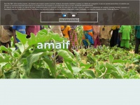 amaif.org Thumbnail