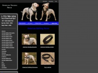 american-bulldog-dog-breed.com