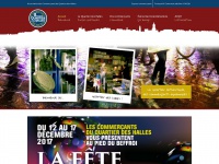 Amienscommerces.com