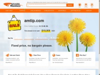 Amtip.com