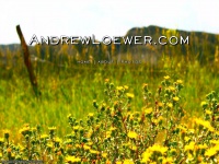 Andrewloewer.com