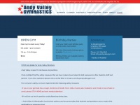 Andyvalleygym.com