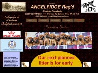Angelridgerhodesianridgebacks.com