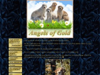 angelsofgold.com Thumbnail