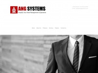 angsystems.com