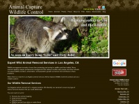 animalcapturewildlifecontrol.com