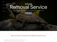 animals-design.com