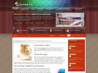 Guineapigzone.com