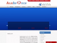 anjuinfotech.com