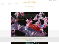 Annedoubilet.com