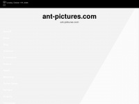 ant-pictures.com Thumbnail