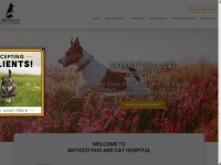 antiochdog-cathospital.com Thumbnail