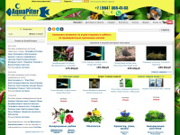 aquapiter.com