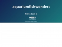 Aquariumfishwonders.com