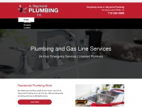 Araymondplumbing.com