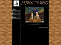 ariellgoldens.com