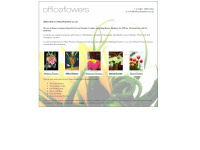 officeflowers.co.uk Thumbnail