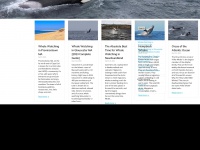 atlanticwhales.com
