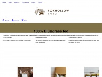 Foxhollow.com