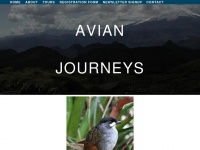 avianjourneys.com Thumbnail
