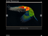 avianresources.com Thumbnail