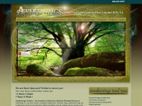 Awakeningsmetaphysicalbookstore.com