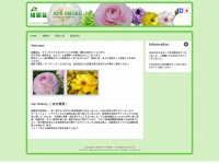 Ayaengei.com