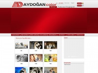 aydogancolor.com Thumbnail