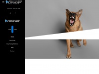 doggybusiness.net Thumbnail