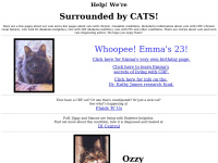 Surroundedbycats.com