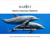marvet.org