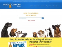 dogcancerblog.com Thumbnail