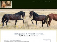 tribeequus.com