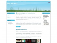 b2k-advisory.com