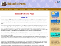 Babcockhome.com