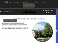 morrisvillecathospital.com Thumbnail