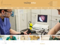 Valleyvets.net
