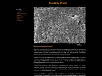 bacteria-world.com
