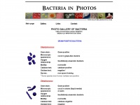 bacteriainphotos.com Thumbnail