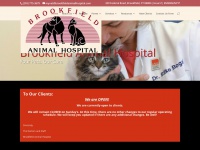 brookfieldanimalhospital.com