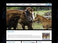 bafperformancehorses.com Thumbnail