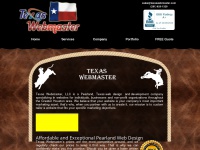 Texaswebmaster.com