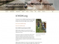 Icwdm.org