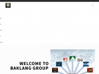 baklanggroup.com Thumbnail