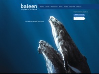 baleen.com Thumbnail