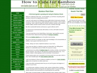 Bamboo-plant-care.com