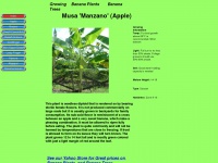 banana-plants.com