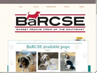 Barcse.org