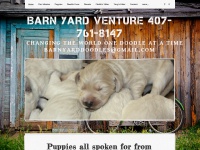 barnyardventures.org